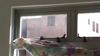 olgun, türk şişko porno